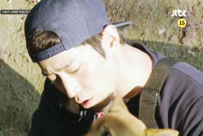 [신화방송] 상처 많은 유기견이 마음 여는 모습이 인상적이었던 방송 | 인스티즈