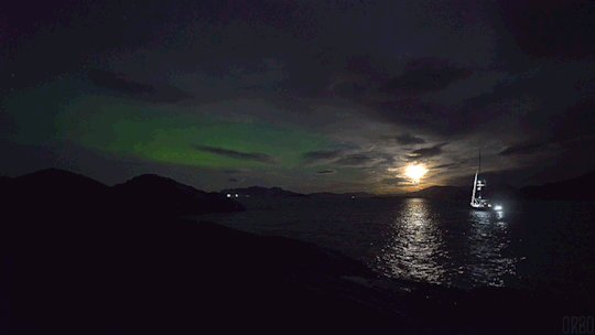  가끔은 흔들리며 살고 싶다 | 인스티즈