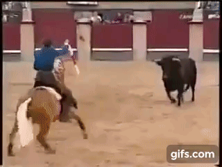 300억 이상의 명마(名馬).gif | 인스티즈