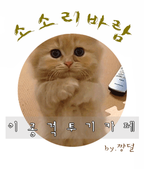 픽업아티스트의 완벽한 여자꼬시는 기술!!! | 인스티즈