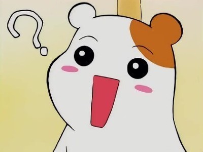 19이미지 원탑 아이돌.jpg | 인스티즈