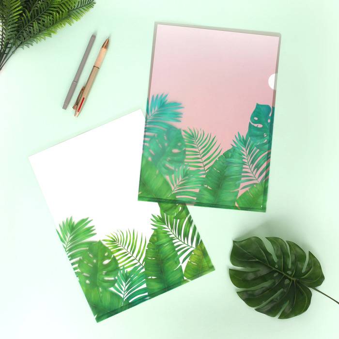 다이소 보태니컬 시리즈 | 인스티즈