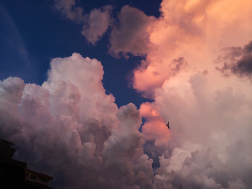 너는 언제나 괜찮다. 당신의 상처보다 당신은 크다 | 인스티즈