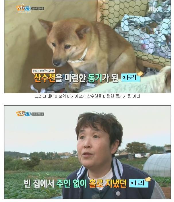 [신화방송] 상처 많은 유기견이 마음 여는 모습이 인상적이었던 방송 | 인스티즈