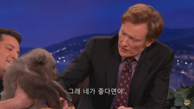 생후 11주된 아기 불곰의 충격적인 귀여움(코난 오브라이언 쇼) | 인스티즈
