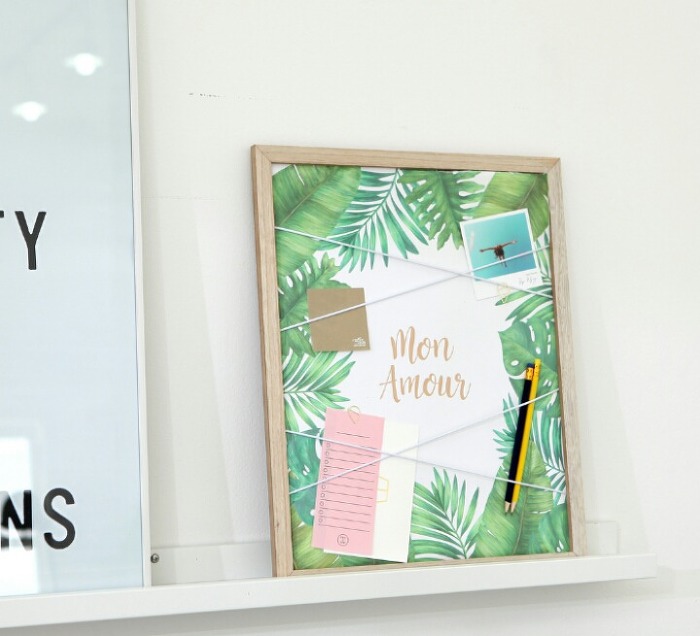 다이소 보태니컬 시리즈 | 인스티즈