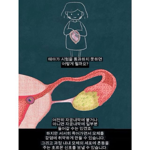 생리는 임신과 출산을 준비하기 위해 하는 것이다 | 인스티즈