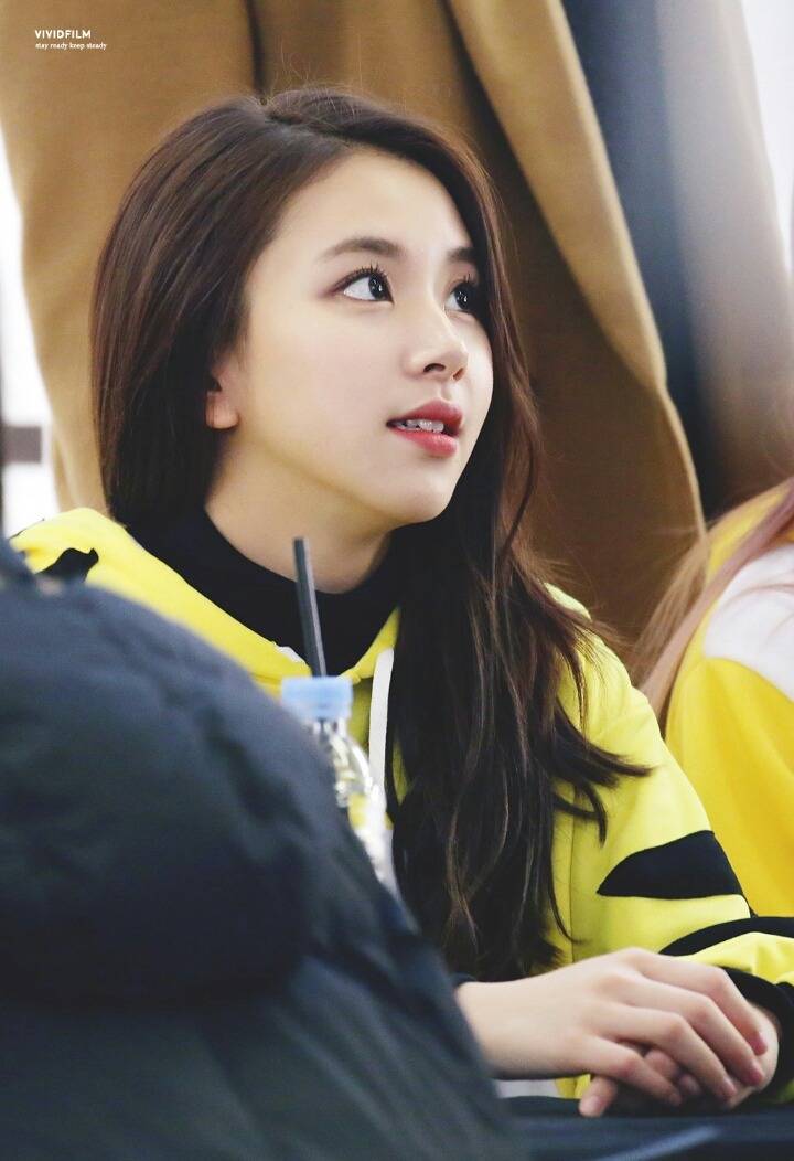 트와이스 여의도 팬싸 멤버별 레전드 | 인스티즈