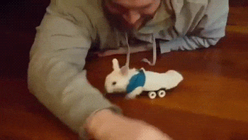 하반신이 마비된 아기토끼를 위한 휠체어 | 인스티즈