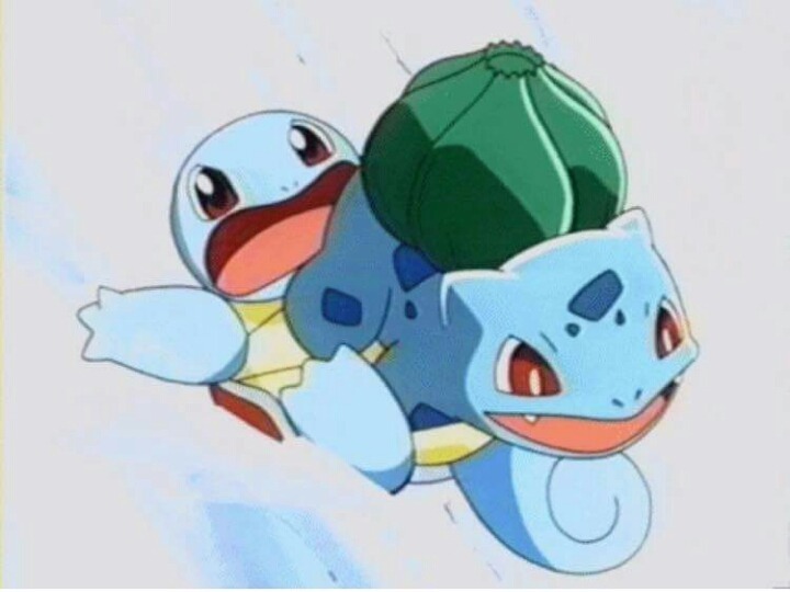 이상해씨 짤 대방출 | 인스티즈