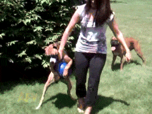 아이고 나으리! 이것까지 가져가시면 쇤네는 어떻게 삽니까요!.gif | 인스티즈