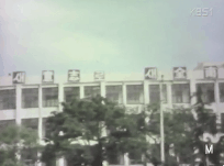 [영화택시운전사] 영화에 나오지 않은 위르겐 힌츠페터 기자의 뒷이야기.GIF | 인스티즈