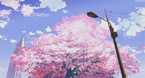 바로 오늘 같은밤, 바로 나 같은 누군가가 읽을지도 모를 이런 시를 위해 | 인스티즈