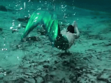 분명 어딘가에 존재 할것만 같은 인어(움짤/데이터 주의) | 인스티즈