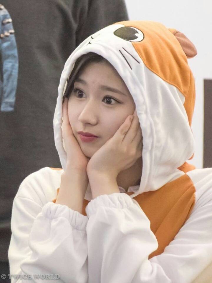 트와이스 여의도 팬싸 멤버별 레전드 | 인스티즈