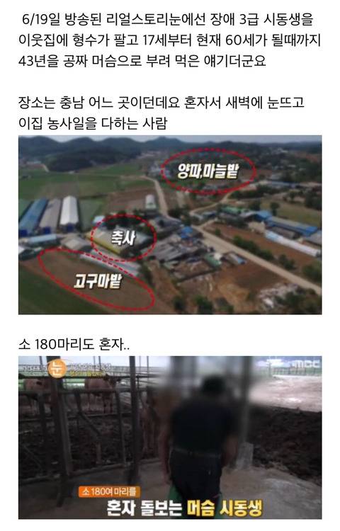 2017년 노예 트렌드 | 인스티즈