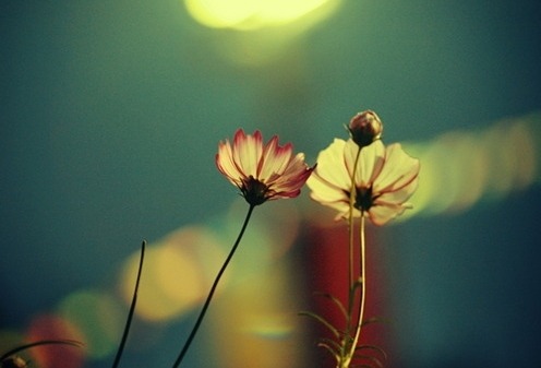 아픈데는 없냐고 당신이 물었다 | 인스티즈