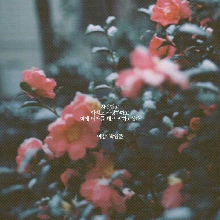  나의 전쟁은 내 마음 속으로 네가 들어온 순간 부터 시작 되었다 | 인스티즈