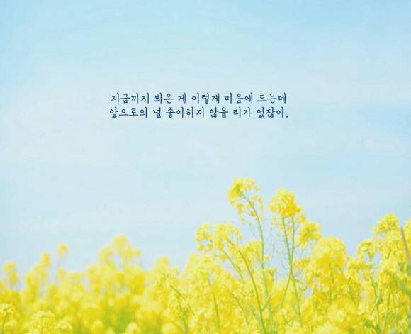 덕질하며 내새끼들에게 해주고싶은 말.글귀 털이 | 인스티즈