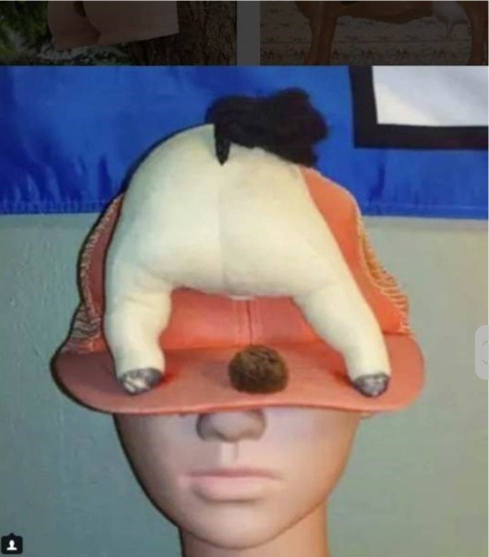 실제로 존재하는지 의심스러운 디자인들 | 인스티즈