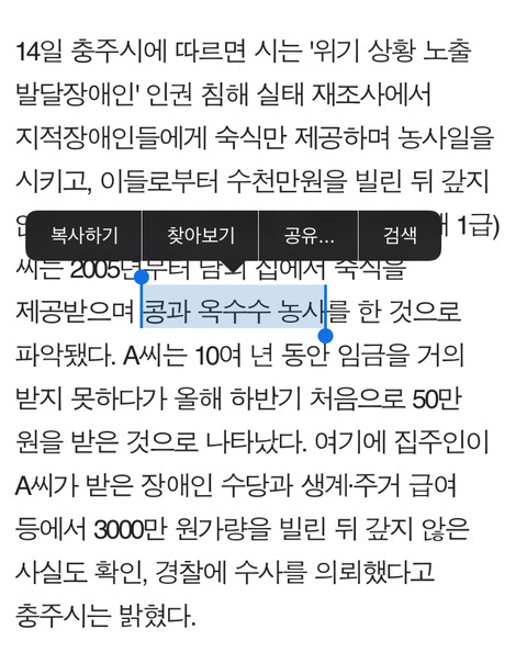 2017년 노예 트렌드 | 인스티즈