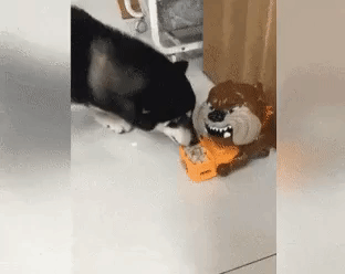 밥그릇이 무서워 | 인스티즈