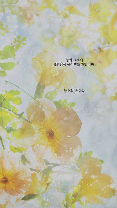덕질하며 내새끼들에게 해주고싶은 말.글귀 털이 | 인스티즈