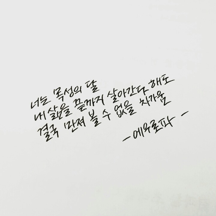 덕질하며 내새끼들에게 해주고싶은 말.글귀 털이 | 인스티즈