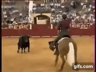 300억 이상의 명마(名馬).gif | 인스티즈