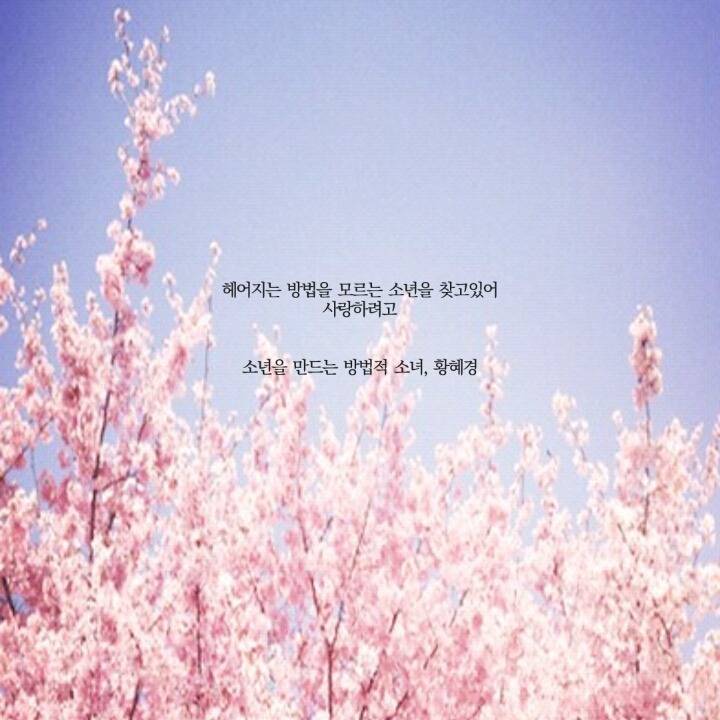  나의 전쟁은 내 마음 속으로 네가 들어온 순간 부터 시작 되었다 | 인스티즈