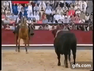 300억 이상의 명마(名馬).gif | 인스티즈