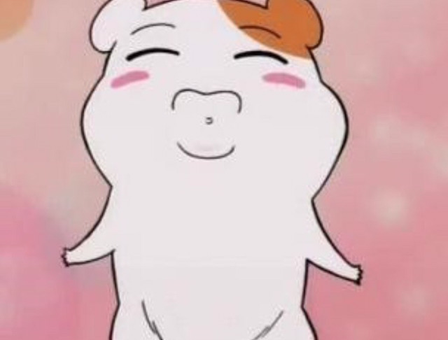 19이미지 원탑 아이돌.jpg | 인스티즈