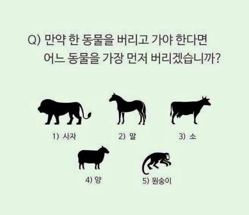 자신의 성향 심리테스트 | 인스티즈