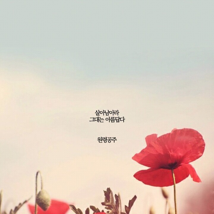 덕질하며 내새끼들에게 해주고싶은 말.글귀 털이 | 인스티즈
