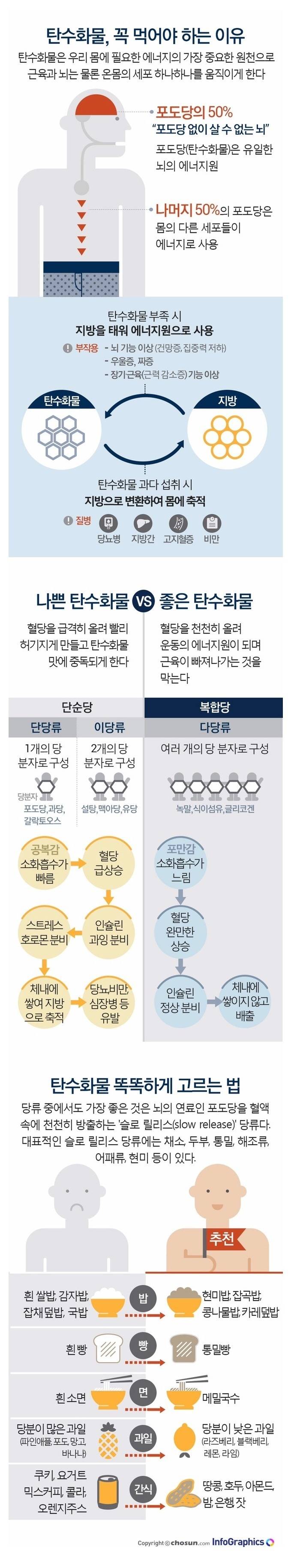 탄수화물을 꼭 먹어야 하는 이유 | 인스티즈