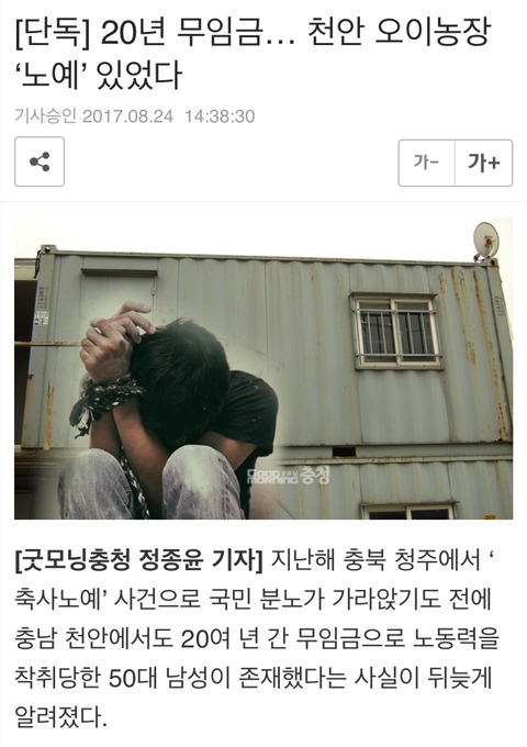 2017년 노예 트렌드 | 인스티즈