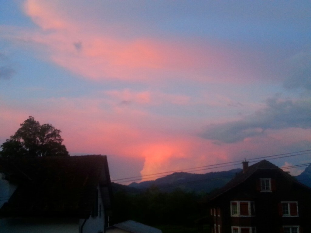 너를 볼 수 있다는 것만으로 충분하다고 생각했었는데 | 인스티즈