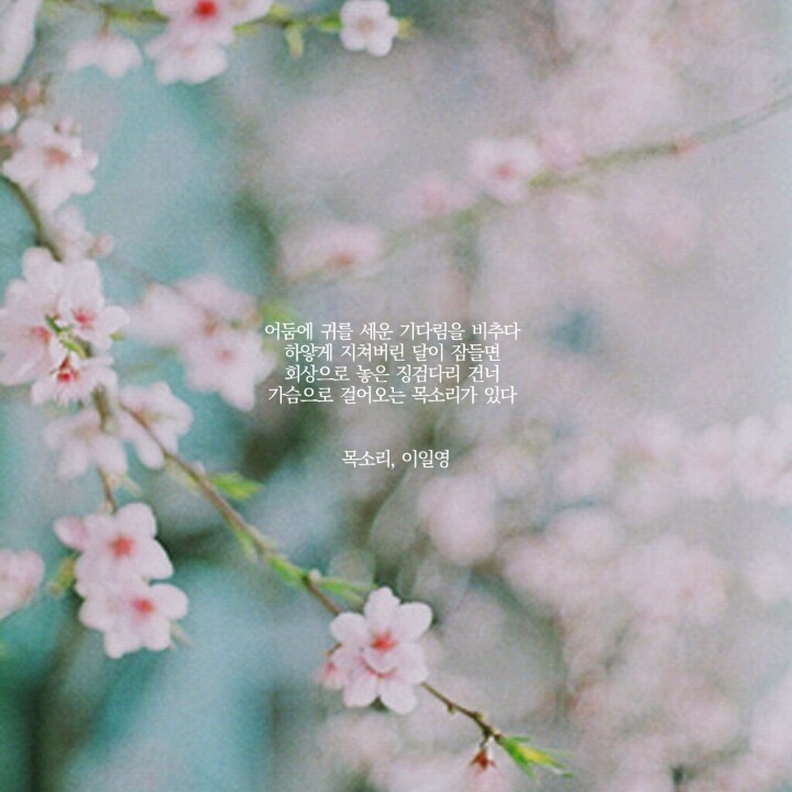  나의 전쟁은 내 마음 속으로 네가 들어온 순간 부터 시작 되었다 | 인스티즈