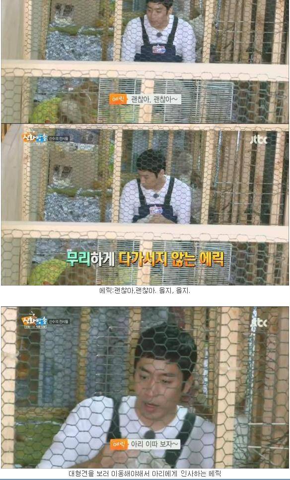 [신화방송] 상처 많은 유기견이 마음 여는 모습이 인상적이었던 방송 | 인스티즈