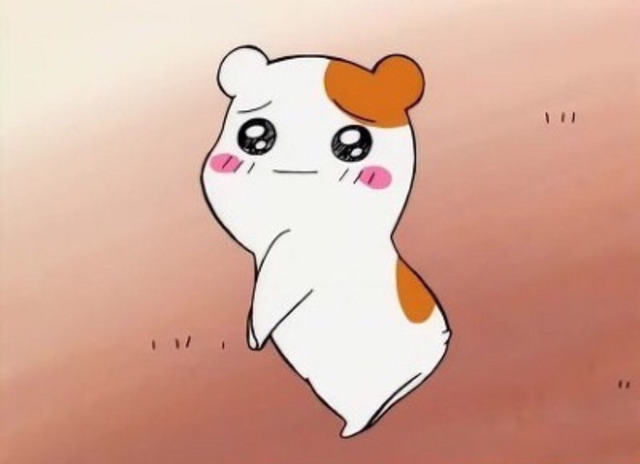 19이미지 원탑 아이돌.jpg | 인스티즈