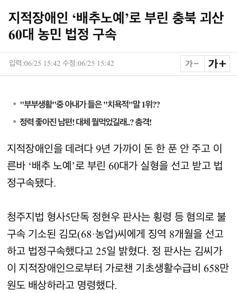 2017년 노예 트렌드 | 인스티즈