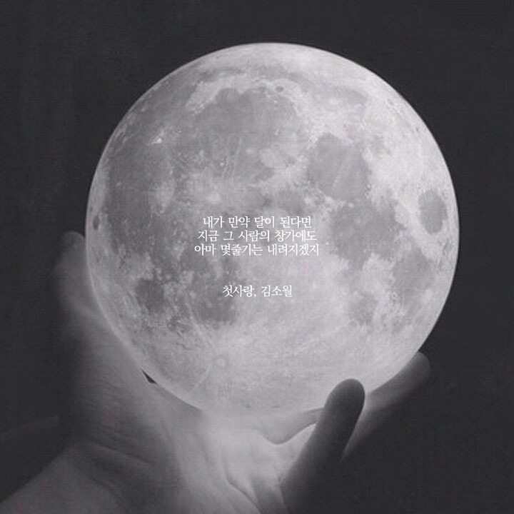  나의 전쟁은 내 마음 속으로 네가 들어온 순간 부터 시작 되었다 | 인스티즈