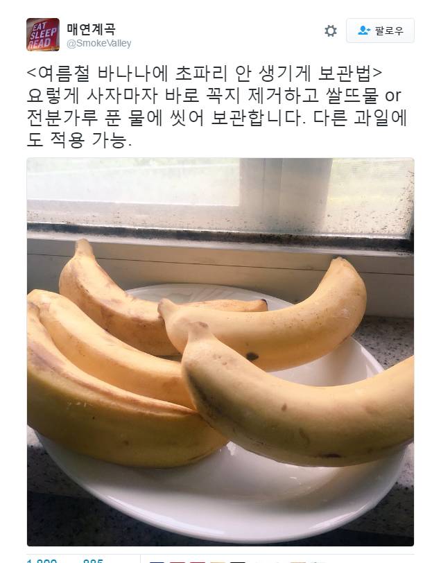 여러가지 정보/팁이오 | 인스티즈