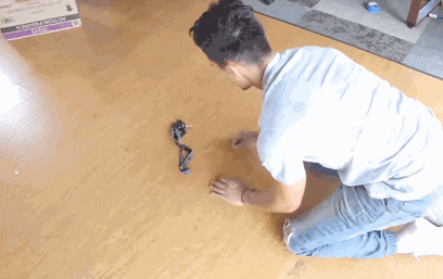 이상한 집사를 보는 고양이.gif | 인스티즈