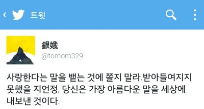 덕질하며 내새끼들에게 해주고싶은 말.글귀 털이 | 인스티즈
