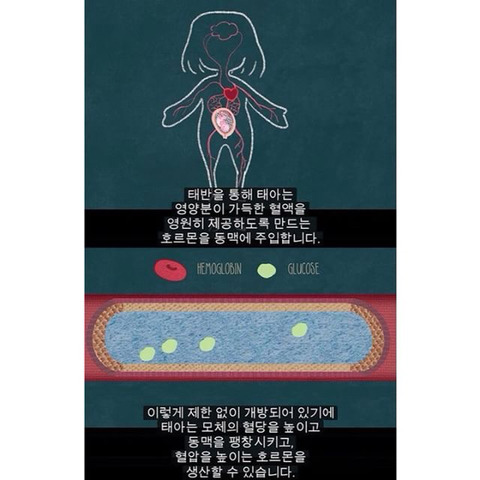 생리는 임신과 출산을 준비하기 위해 하는 것이다 | 인스티즈