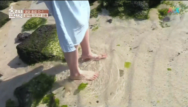 효리네민박 13화 아이유.gif | 인스티즈