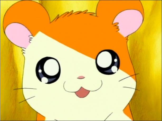 19이미지 원탑 아이돌.jpg | 인스티즈