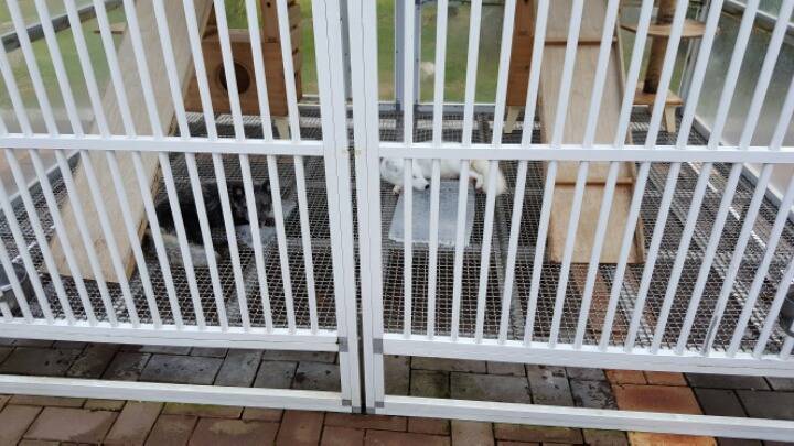 제정신이 아닌듯한 춘천의 한 관광지.jpg | 인스티즈