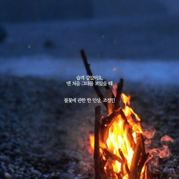 덕질하며 내새끼들에게 해주고싶은 말.글귀 털이 | 인스티즈